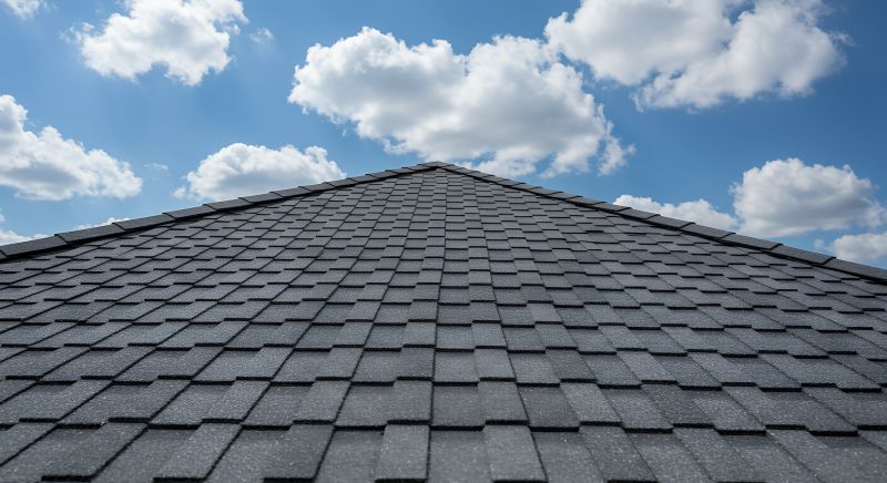 Asphalt Shingle Roof Installation Service