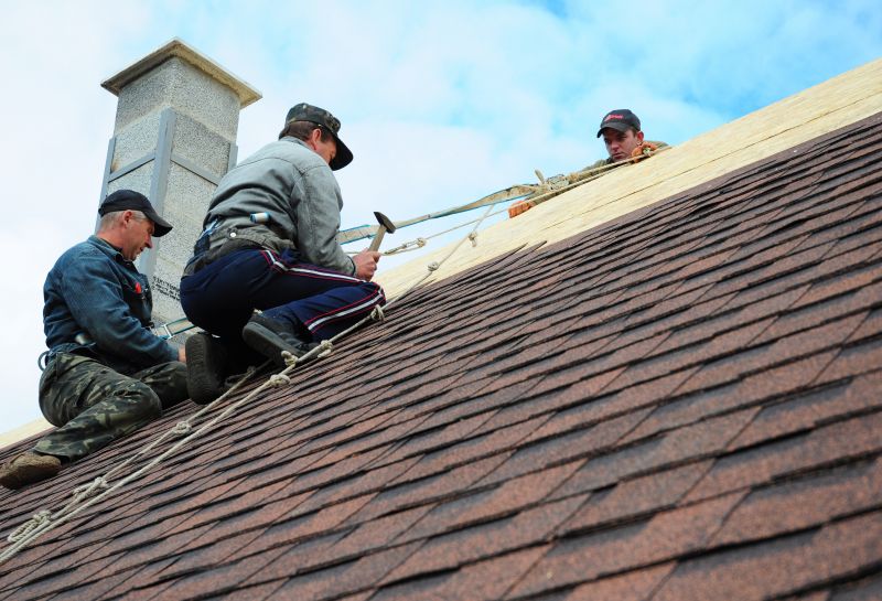 Professional Roofing Contractors